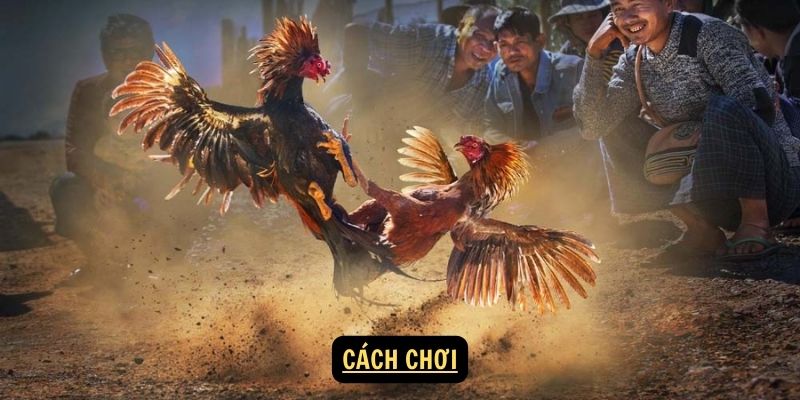 Cach choi