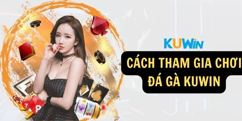 Cách tham gia chơi Đá gà KUWIN