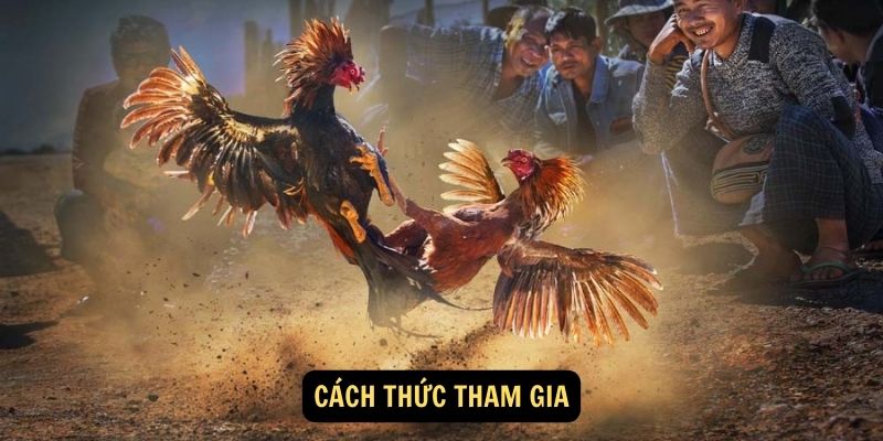 Cách thức tham gia