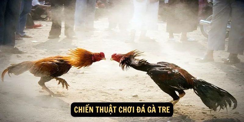 Chien thuat choi Da ga tre