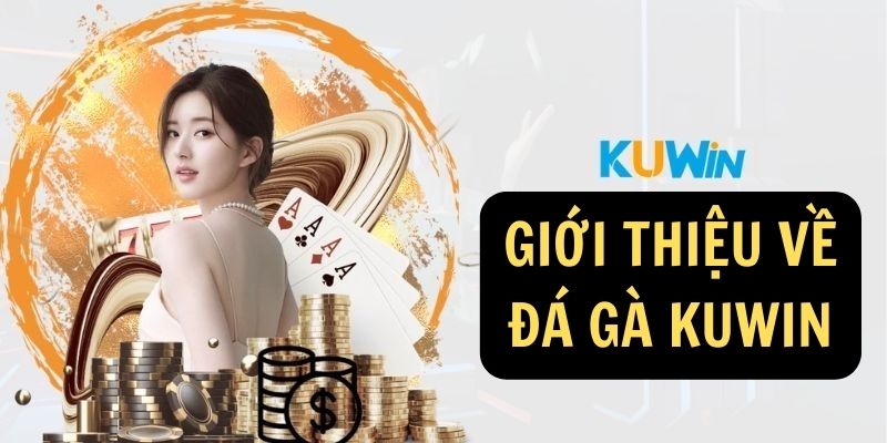 Giới thiệu về Đá gà KUWIN