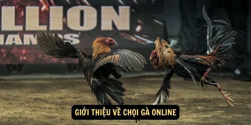 Gioi thieu ve choi ga online