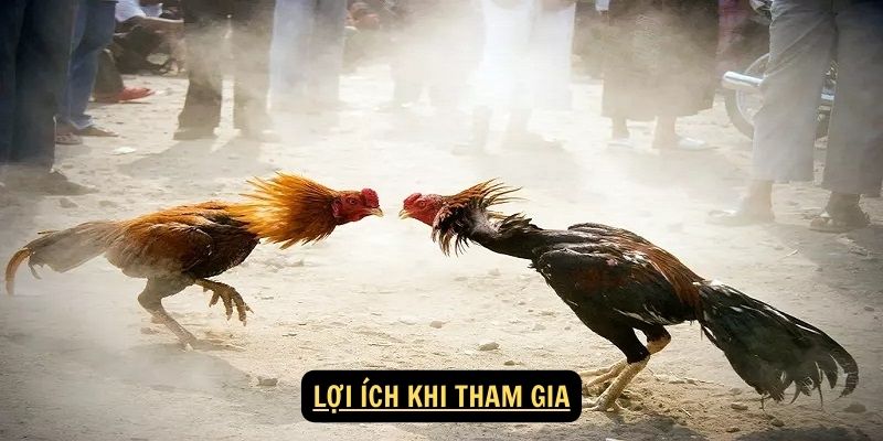 Lợi ích khi tham gia