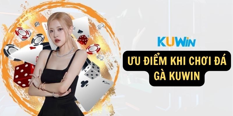 Ưu điểm khi chơi Đá gà KUWIN